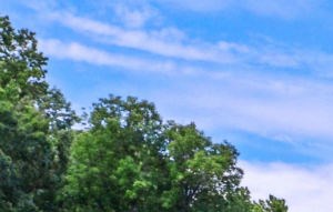 Photos and Video of Madison Glen Mills in Glen Mills, PA